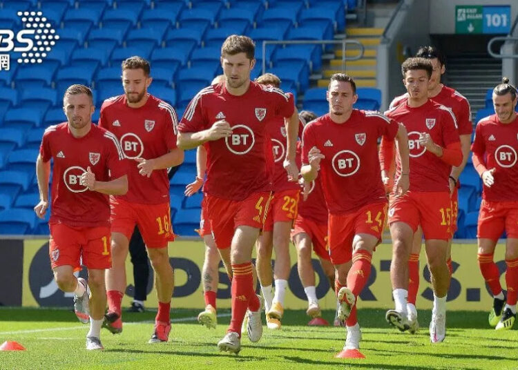2022世足賽B組紅龍軍團 威爾斯向下扎根培育好手