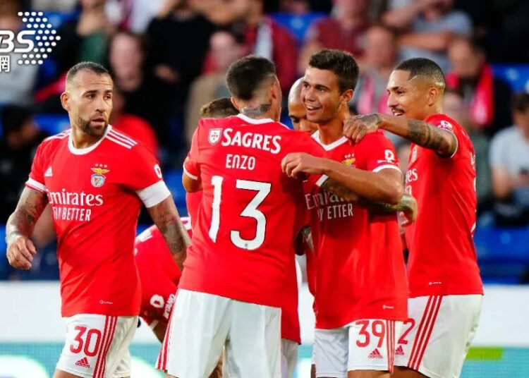 2022世足賽D組紅色炸藥 丹麥崛起FIFA譽為最強黑馬