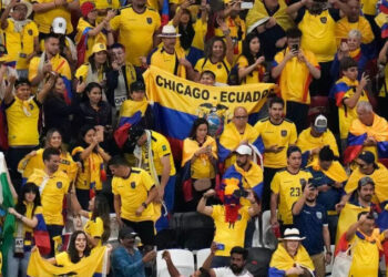 世足／打進小組賽就有2.8億 卡達世界盃總獎金137億元打破紀錄